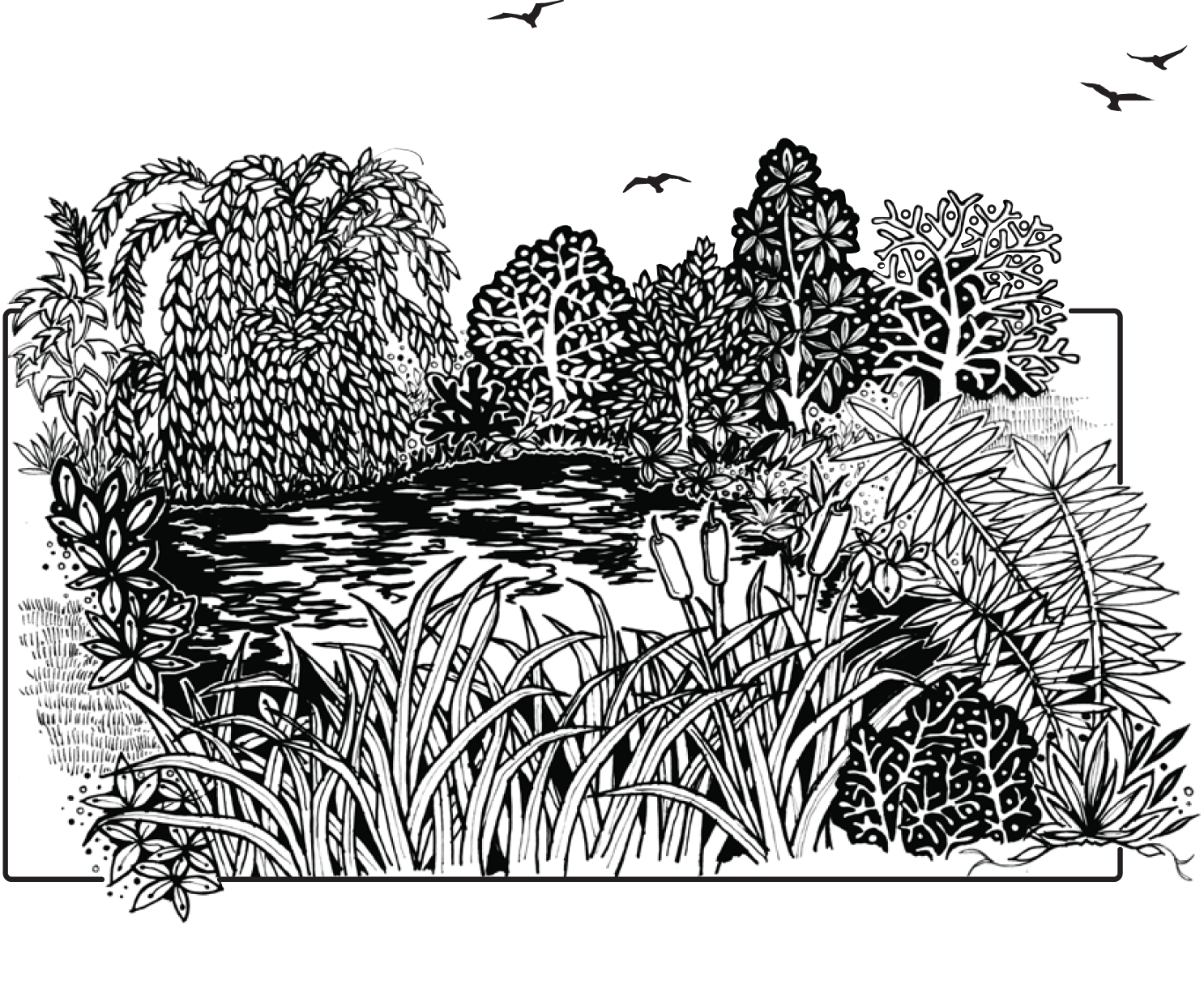 Decorative Graphic: River sketch